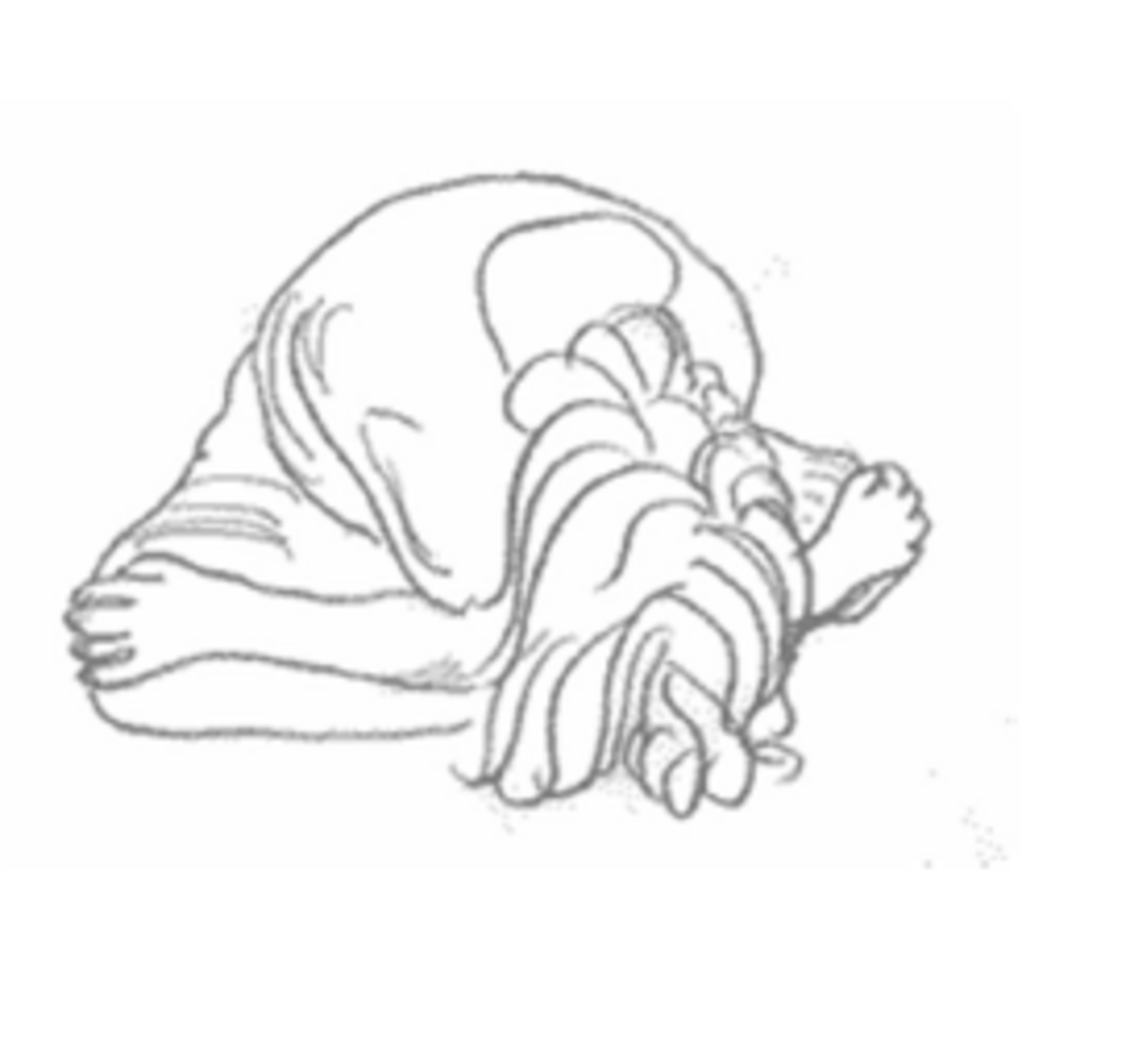 Herzkreislauf_-_Dreifach_Erwärmer